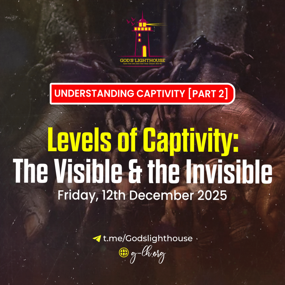 Levels of Captivity: The Visible & The Invisible