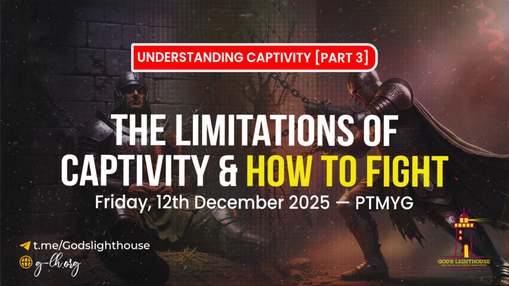 The Limitations of Captivity & How to Fight Image