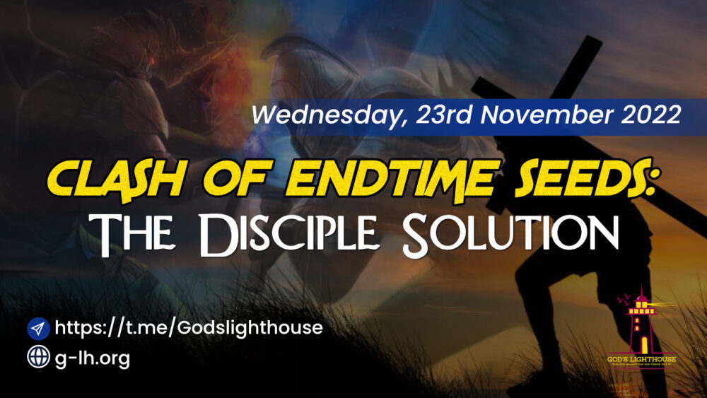 Clash of Endtime Seeds - The Disciple Solution 