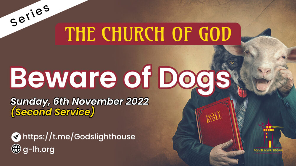 Beware of Dogs
