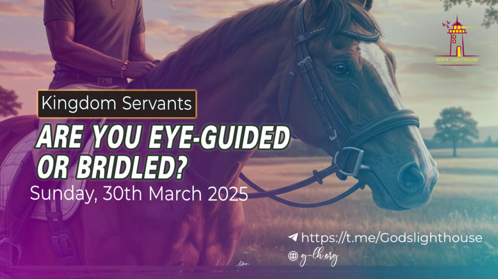 Are you Eye-guided or Bridled Image