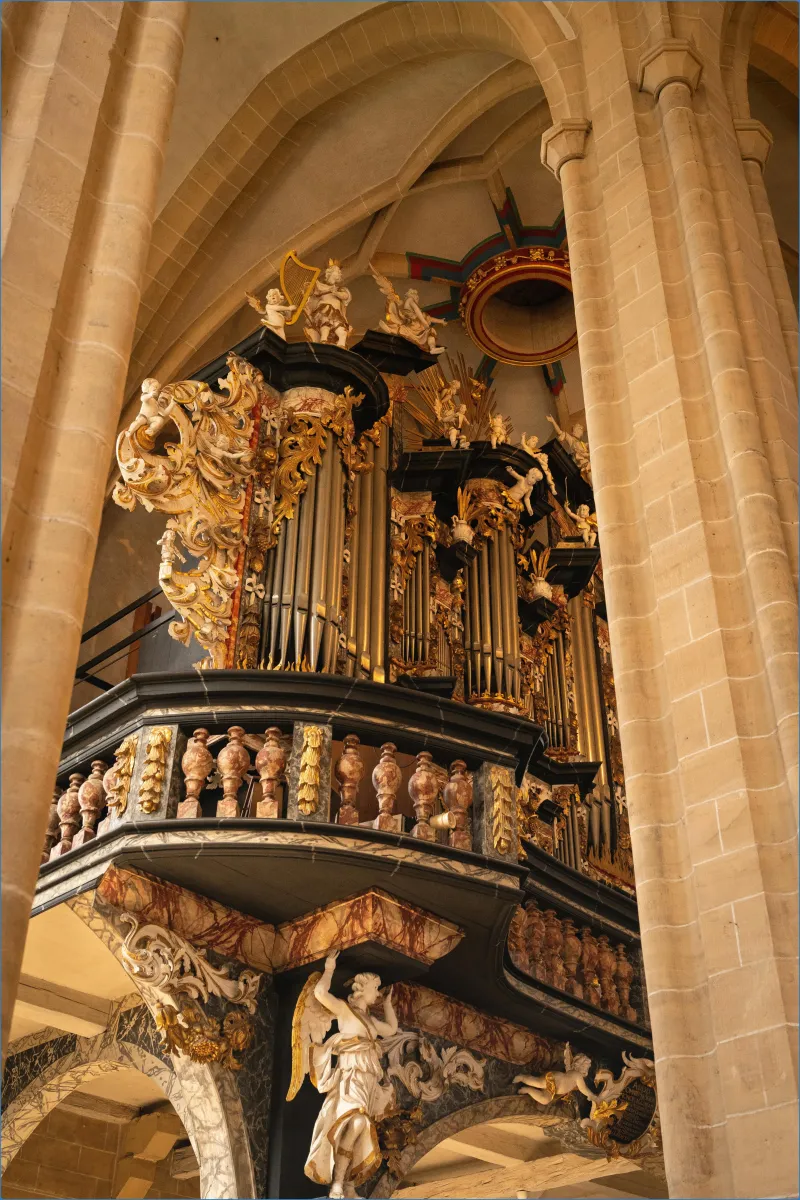 Erfurter Dom 