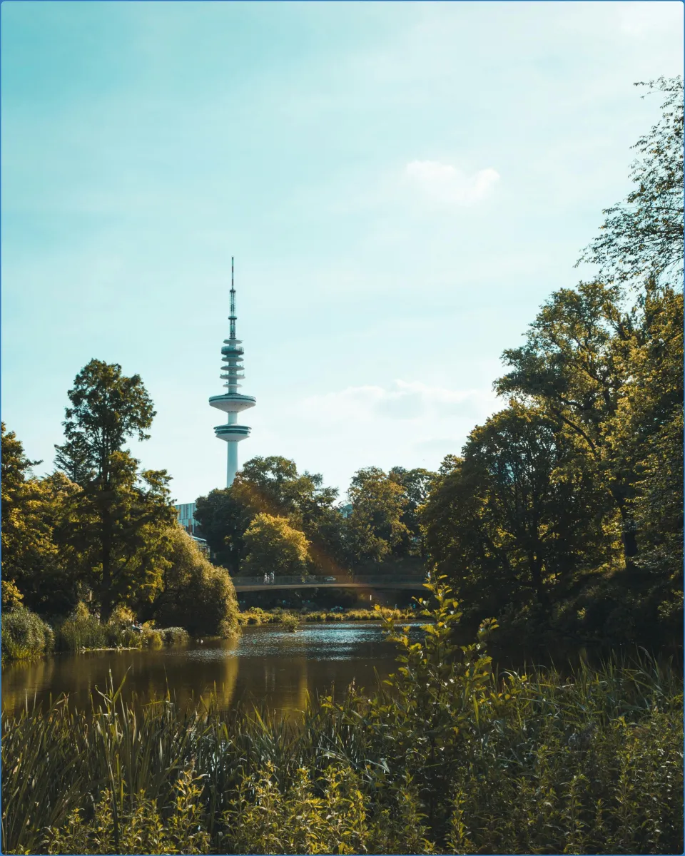 Fernsehturm hinter Bäumen und See