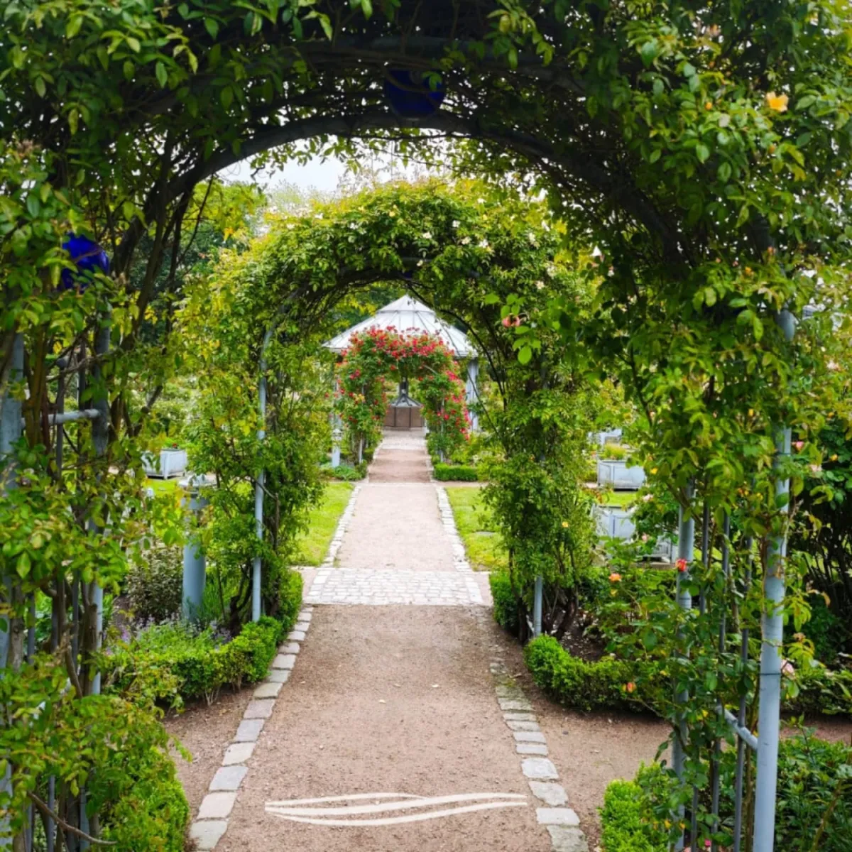 Gartenweg unter grünen Bögen
