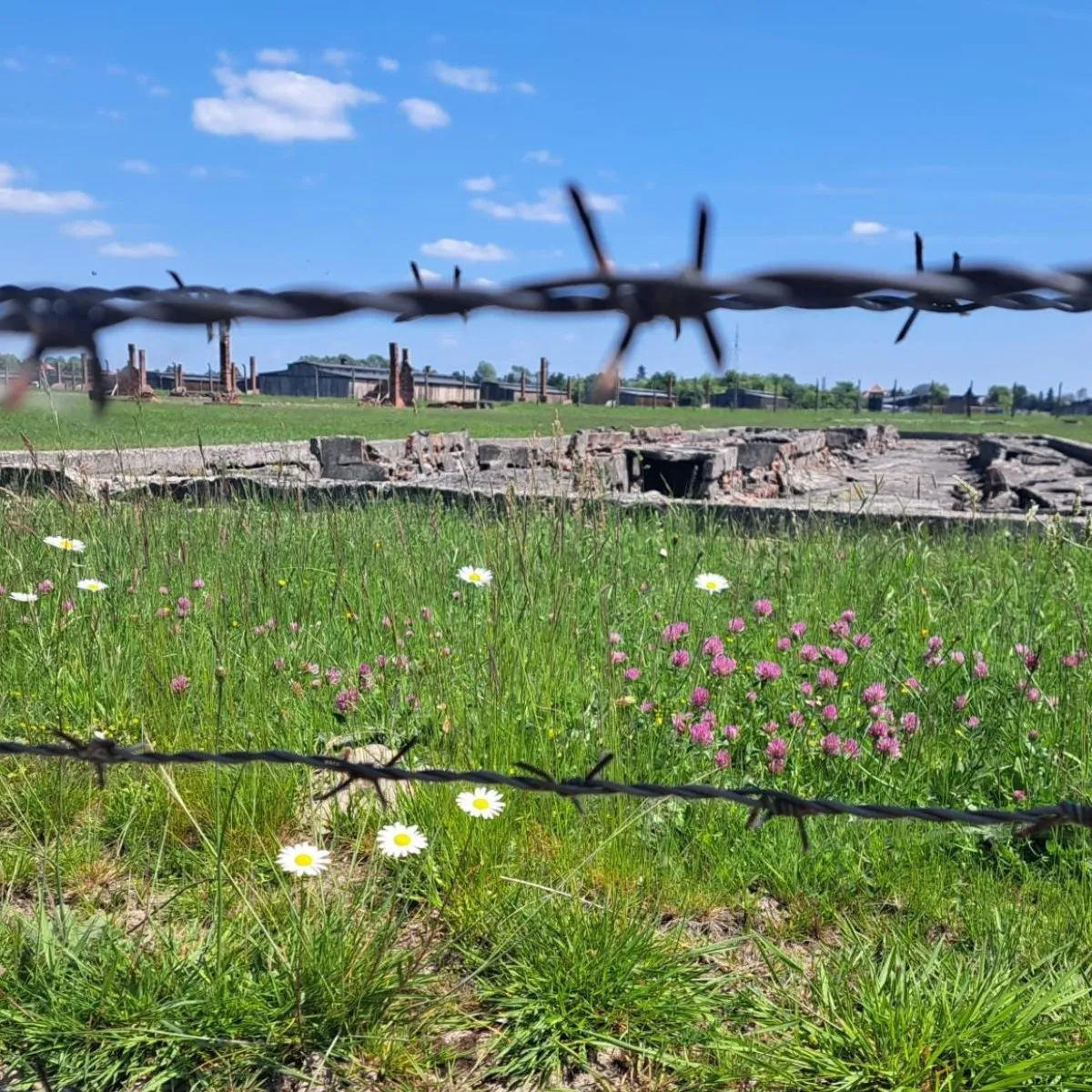 Gedenkstätte Bergen-Belsen