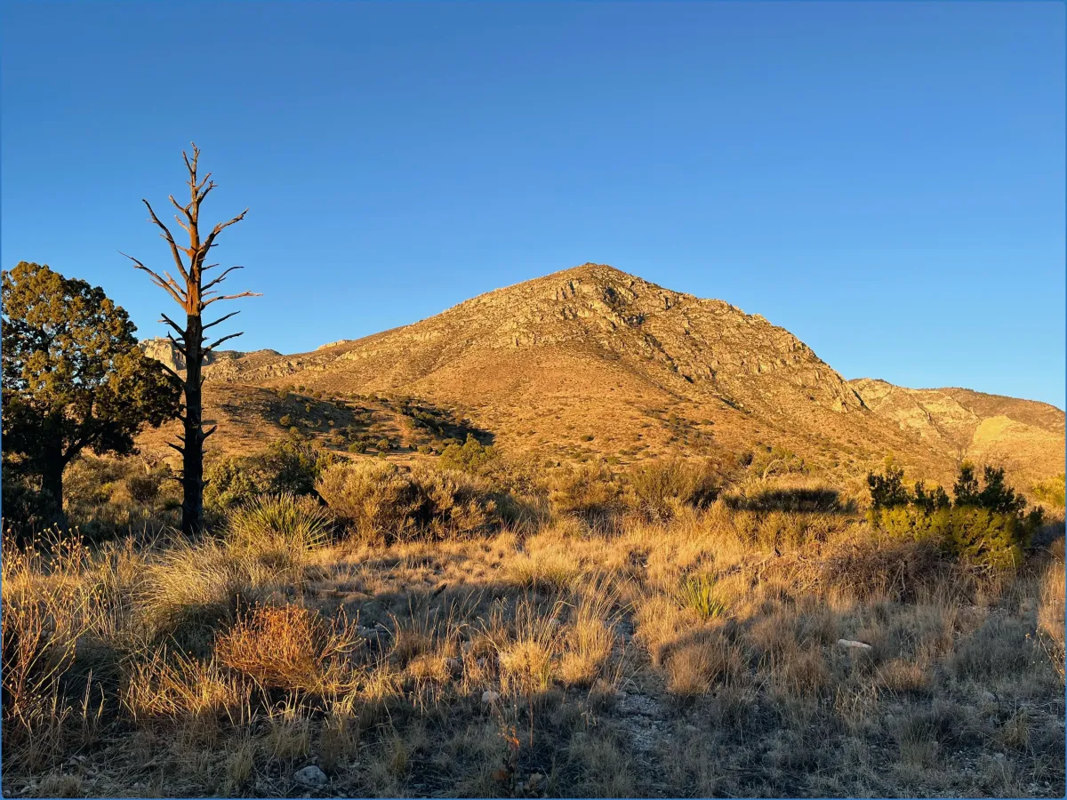 Berglandschaft mit trockenem Gras und Bäumen.