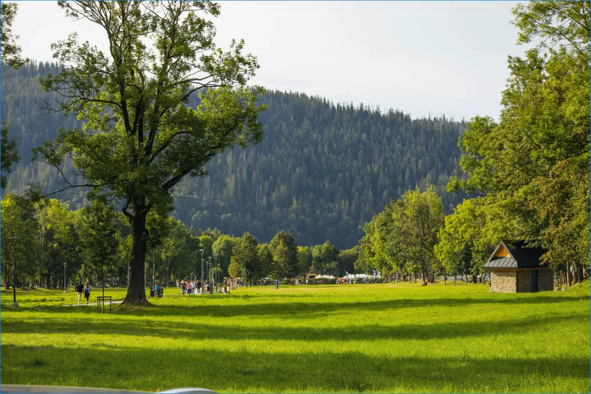 Grüne Wiese mit Bäumen und Bergen im Hintergrund