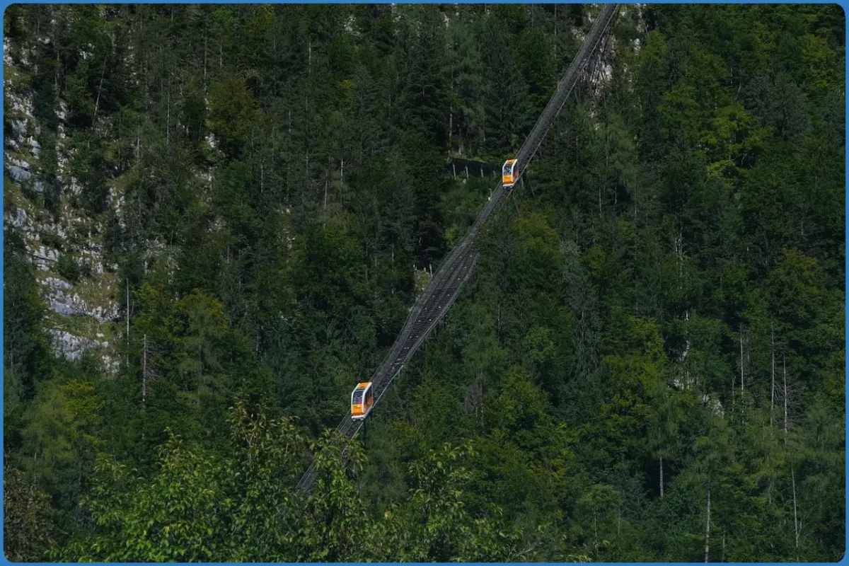 Zwei Standseilbahnen im Wald