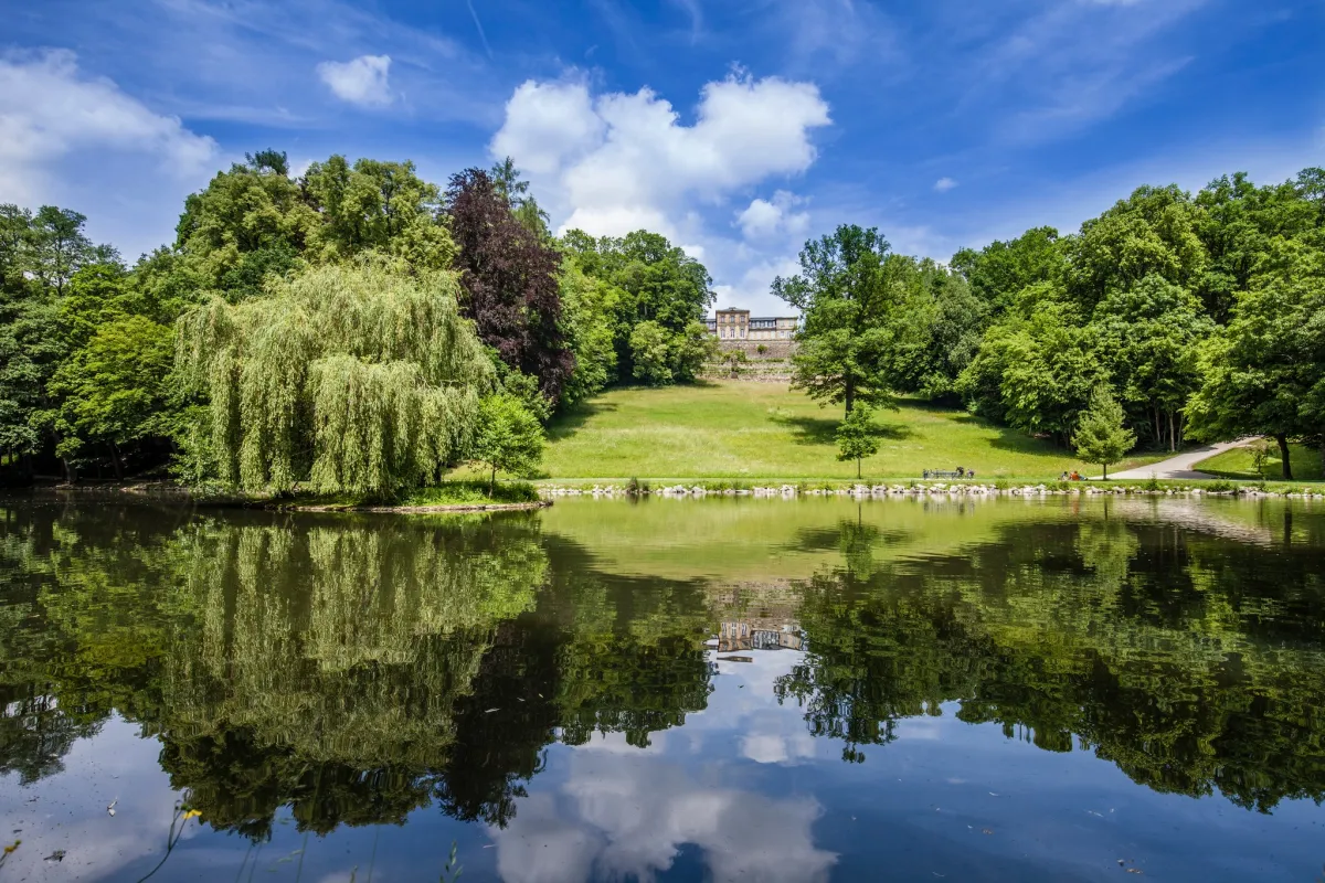 Park mit See und Bäumen