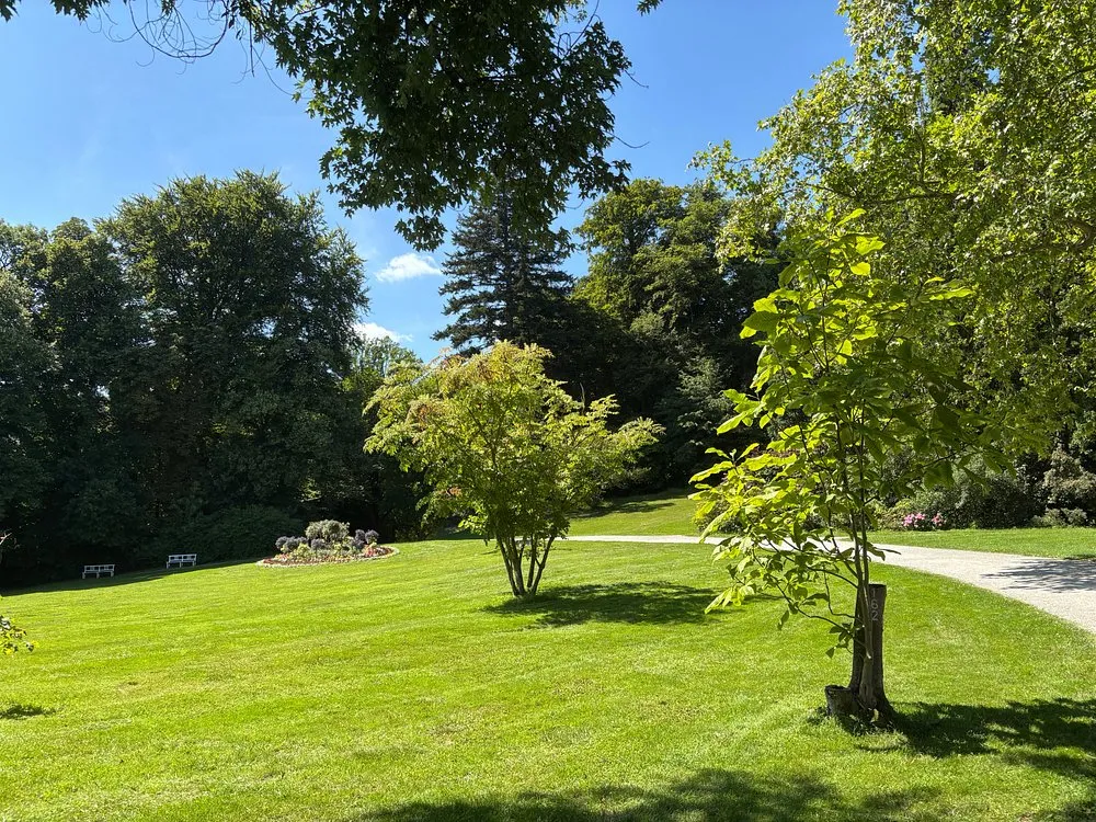 Grüne Parklandschaft mit Bäumen und Wiese