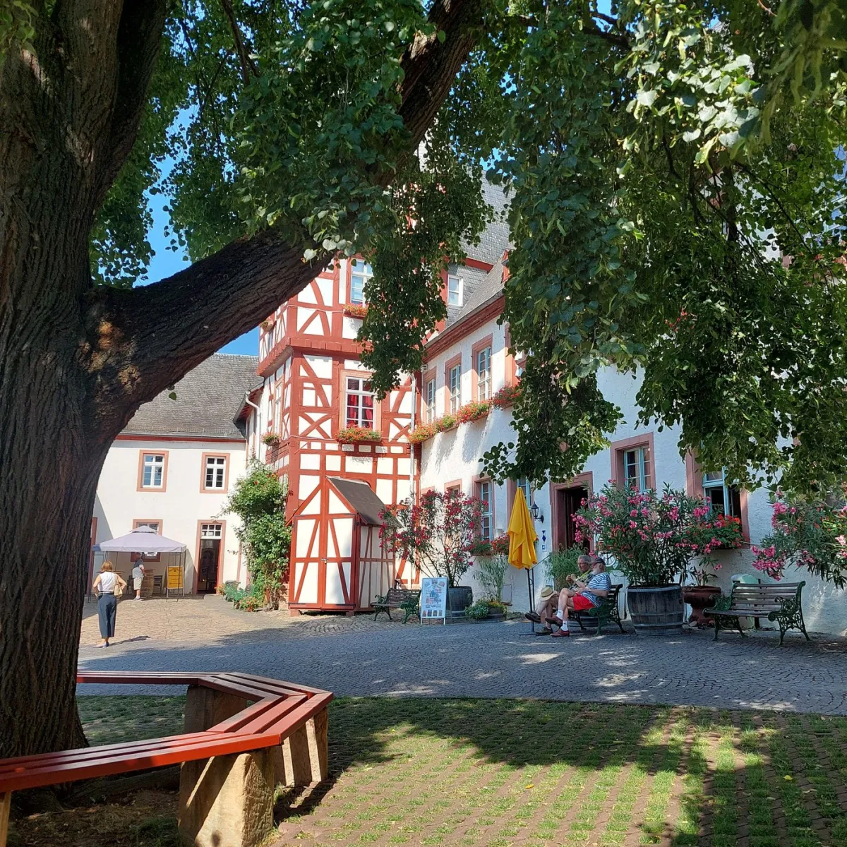 Fachwerkhaus mit Innenhof und Baum