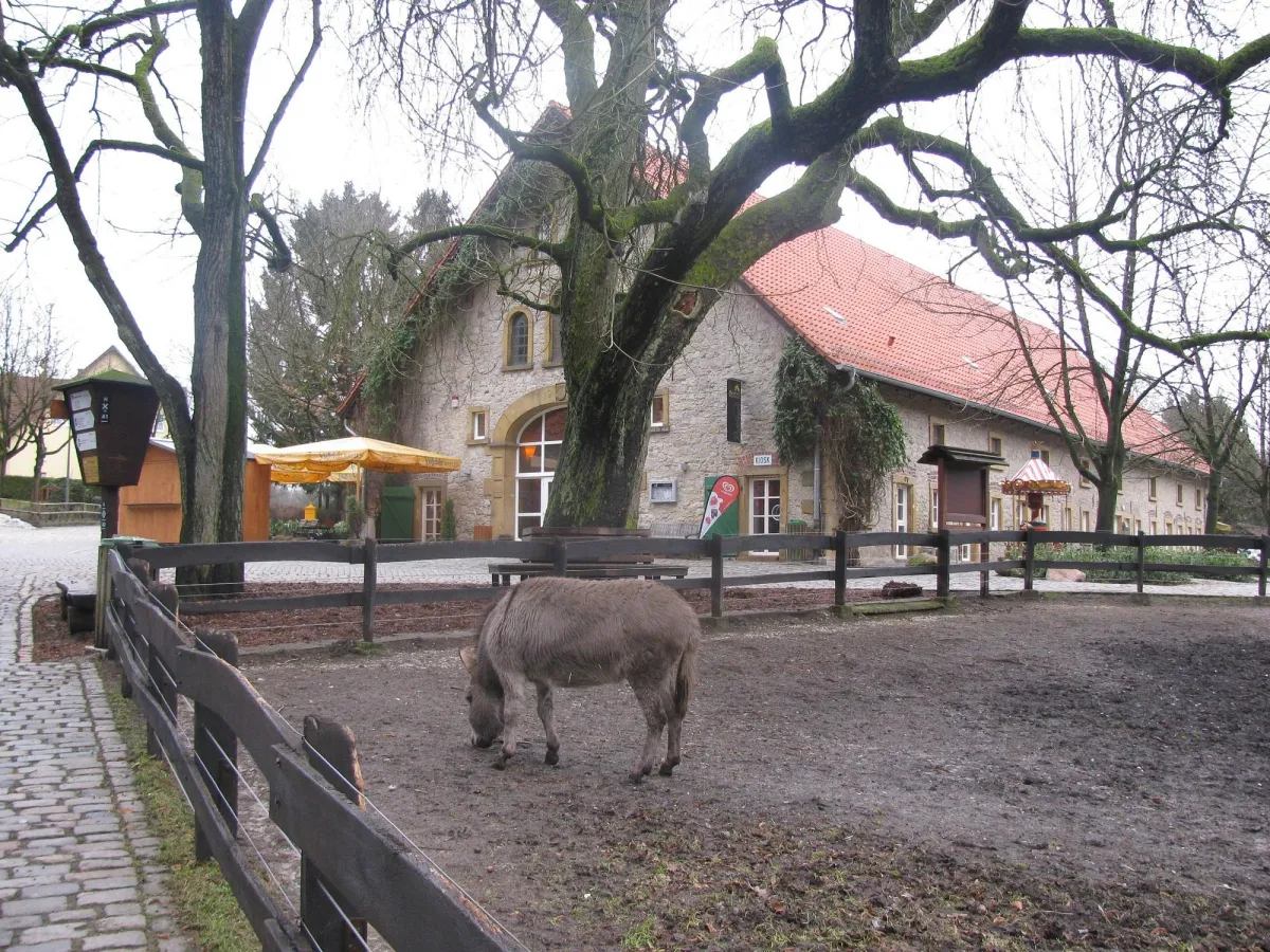 Esel auf einem Bauernhof vor einem großen Gebäude.