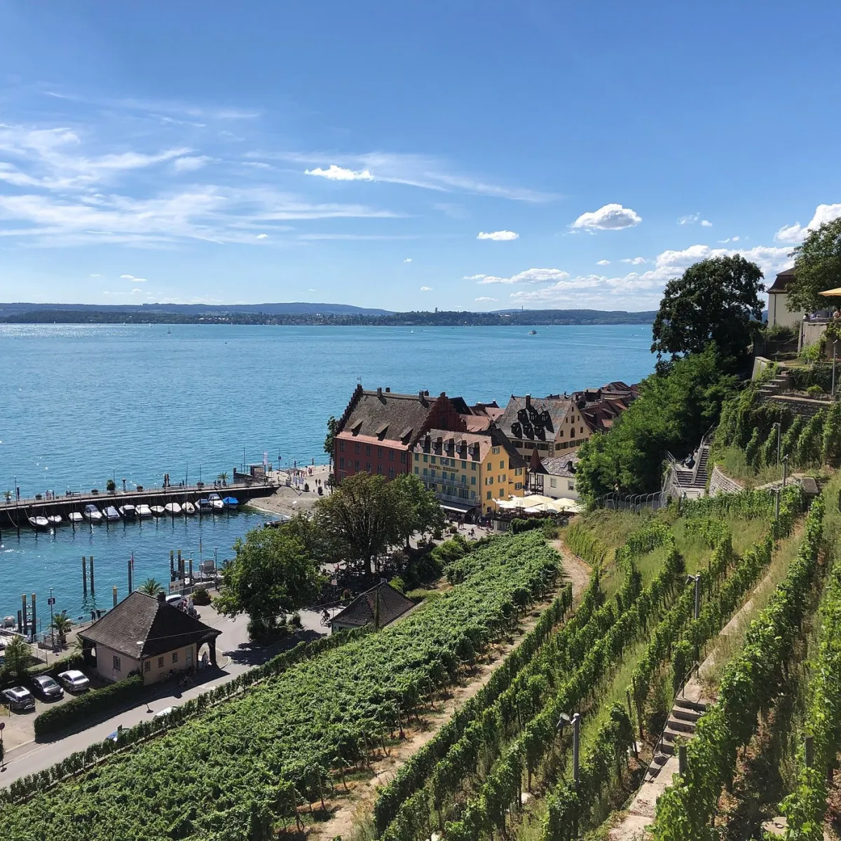 Blick auf den Bodensee mit bunten Häusern und Weinbergen.