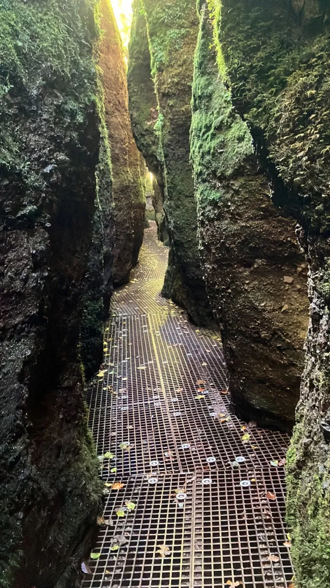 Schmaler Pfad zwischen moosbedeckten Felsen