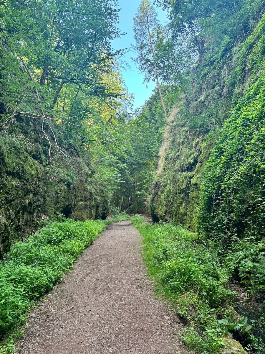 Waldweg zwischen hohen Felsen