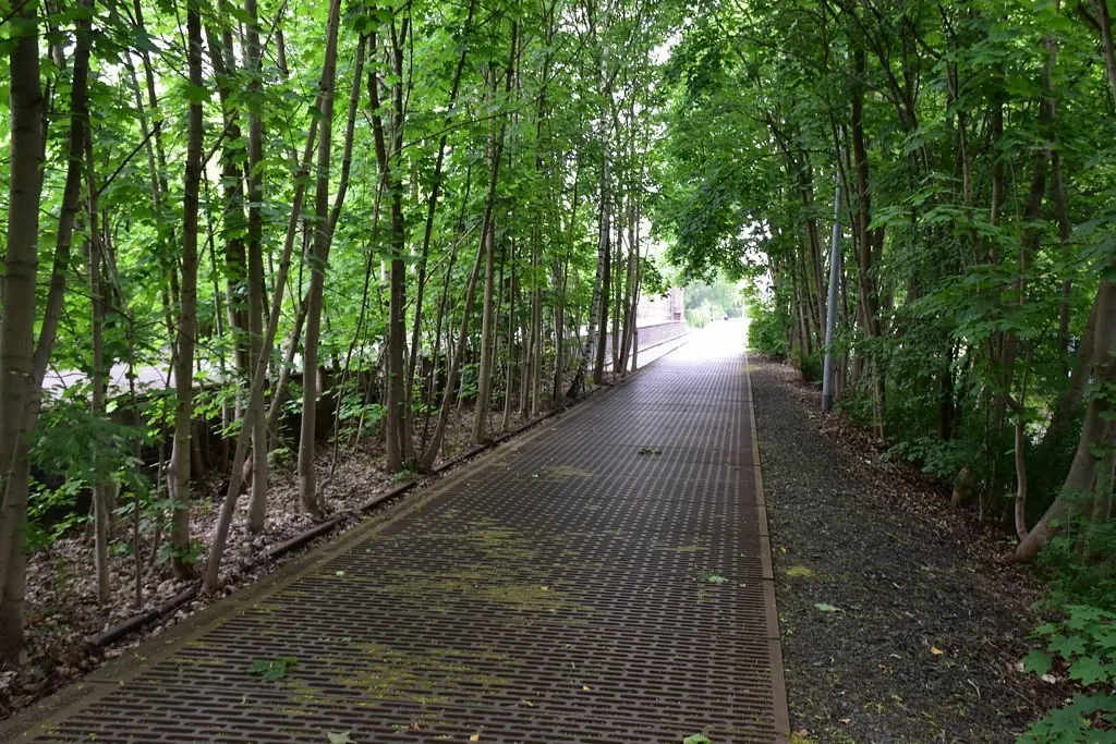 Weg durch einen grünen Waldtunnel