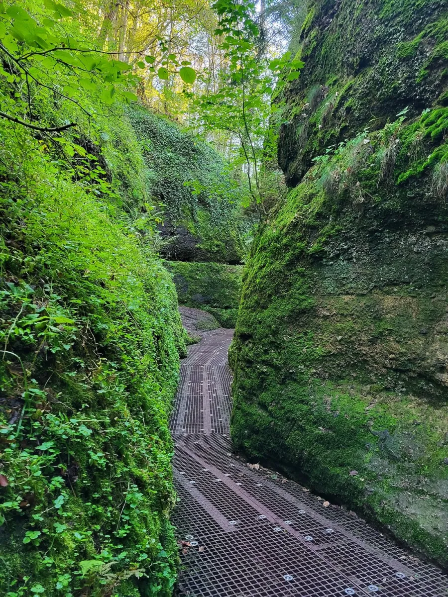 Metallweg durch moosbewachsene Felsen