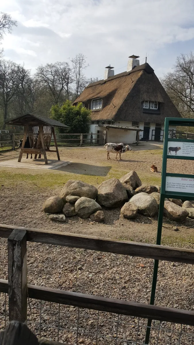 Bauernhof mit Reetdachhaus und Tieren