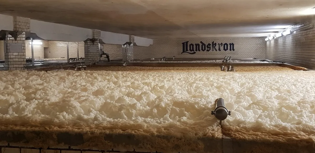 Bierbrauerei mit Schaum im Gärbottich