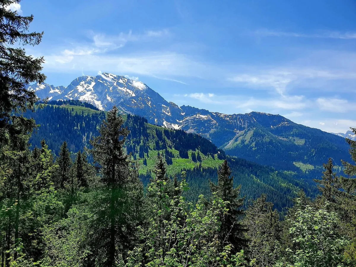 Berglandschaft mit schneebedeckten Gipfeln und Wald