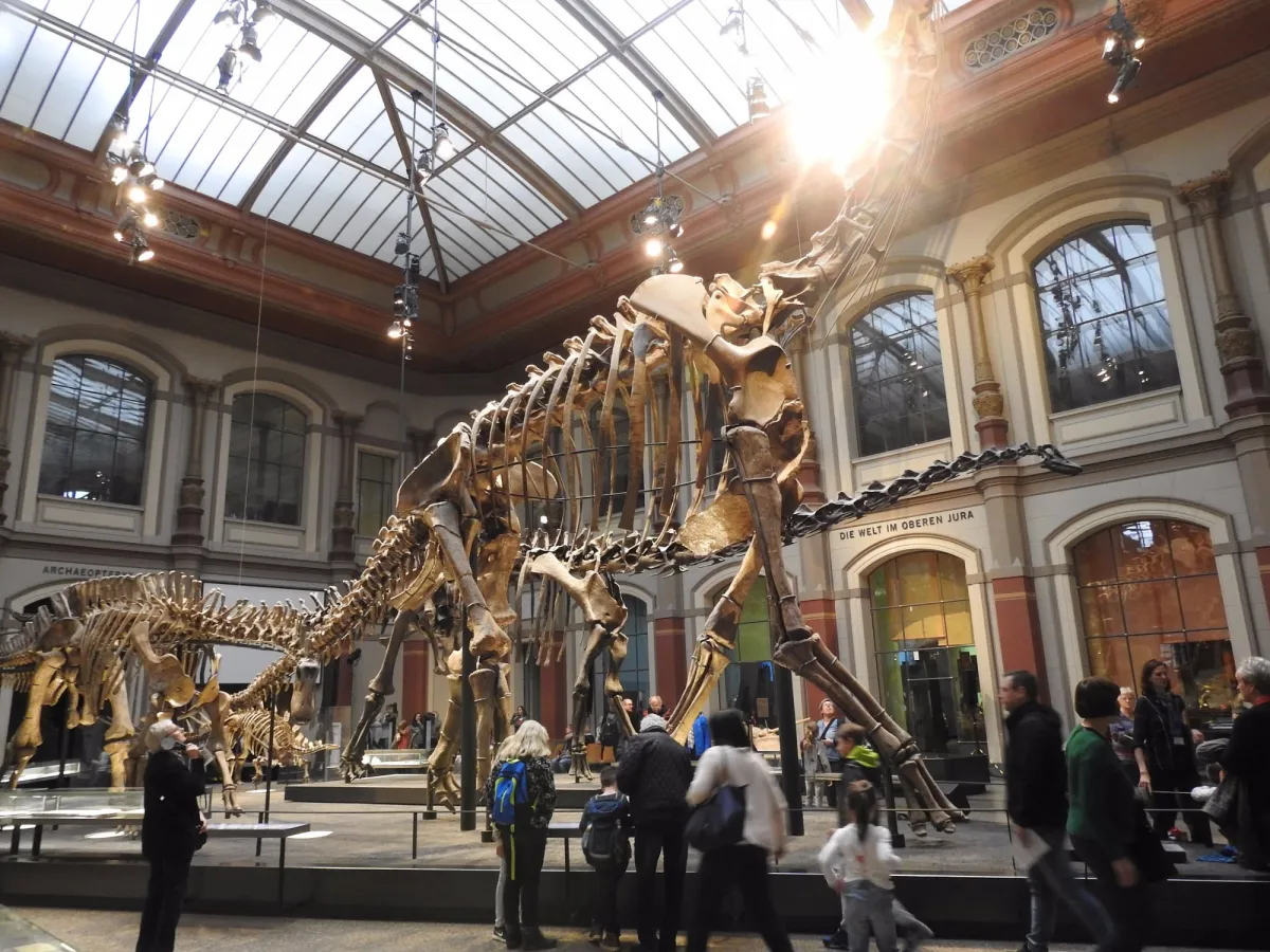Dinosaurierskelett im Museum mit Besuchern