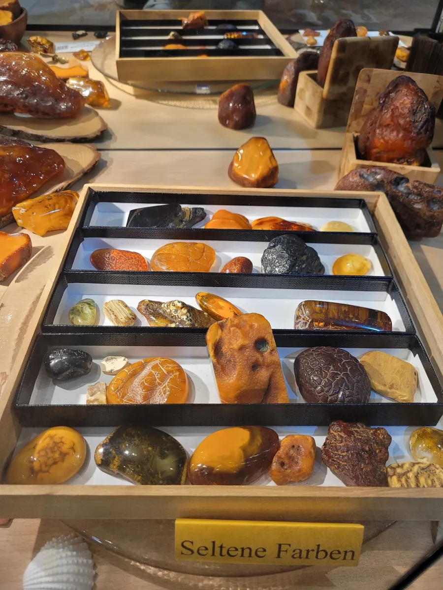 Verschiedene Bernsteine in einer Ausstellung.