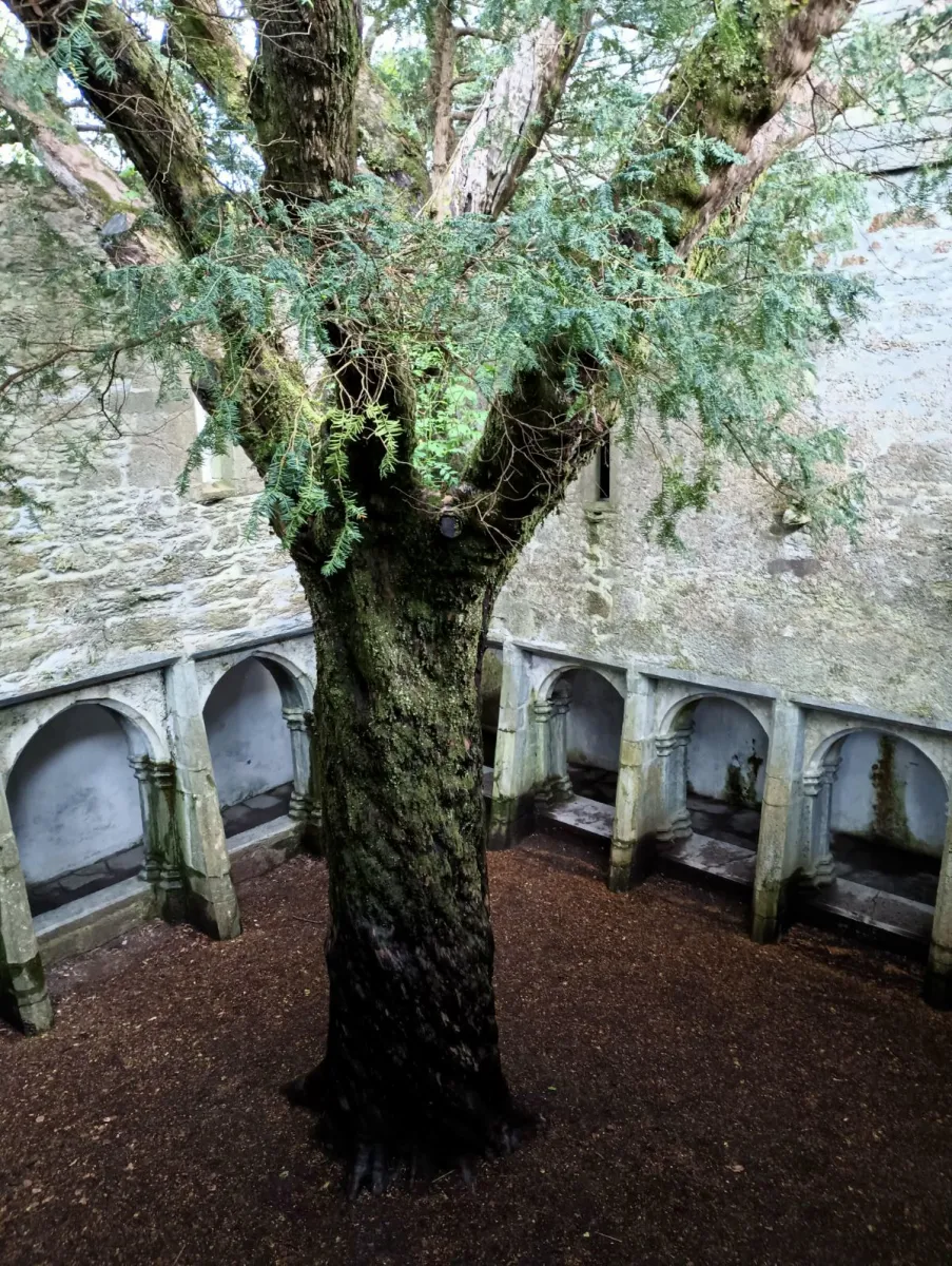 Killarney National Park