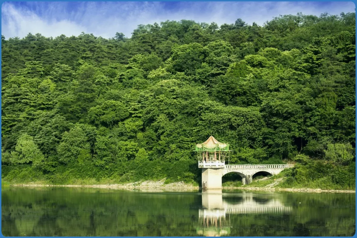 Pavilion by a forested lake