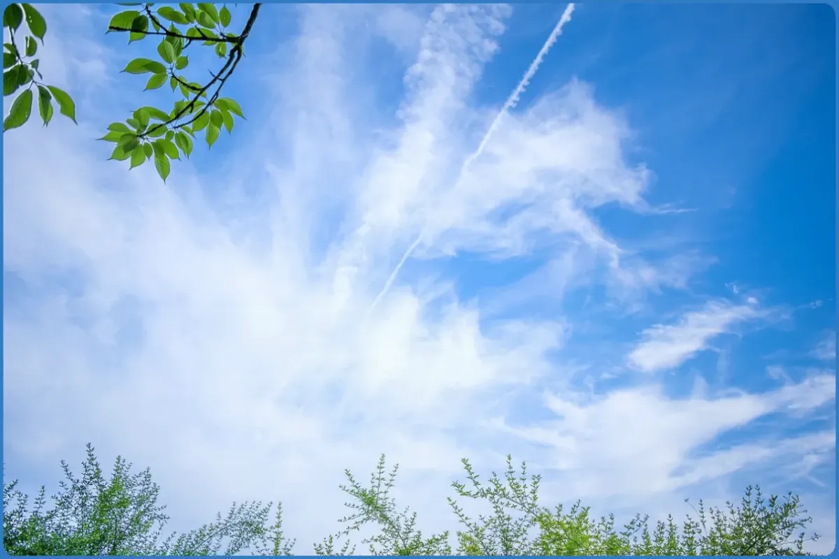 Blue sky with clouds and green leaves