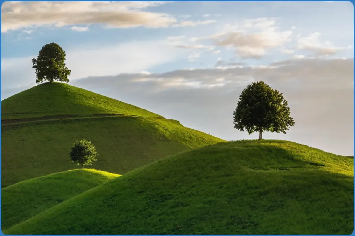 Trees on grassy hills under a cloudy sky