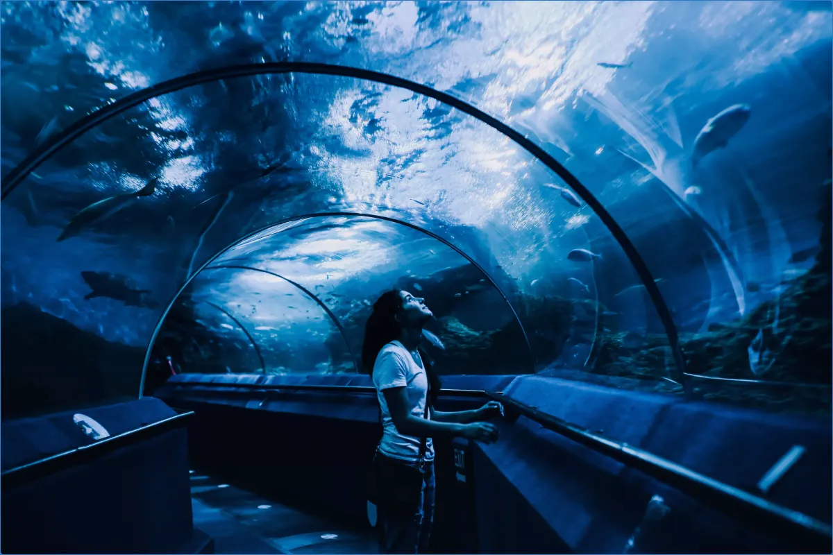 Achill Experience, Aquarium & Visitor Centre