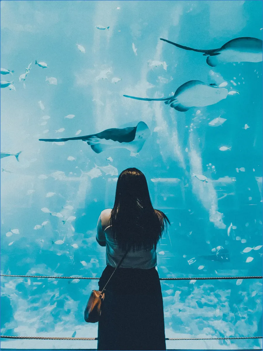 Achill Experience, Aquarium & Visitor Centre