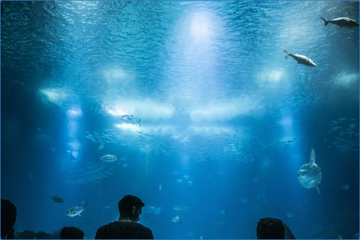 Achill Experience, Aquarium & Visitor Centre