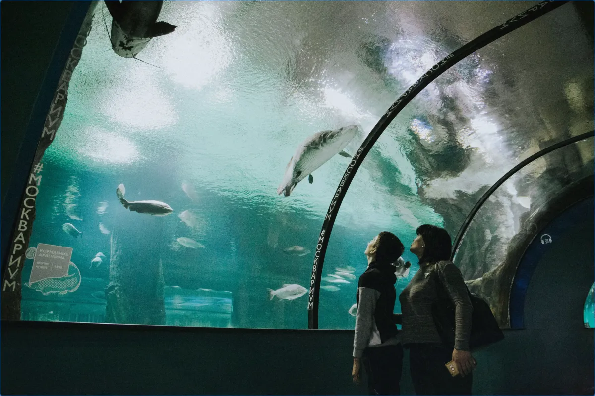 Achill Experience, Aquarium & Visitor Centre