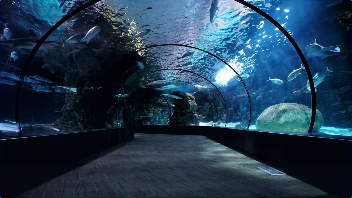 Achill Experience, Aquarium & Visitor Centre