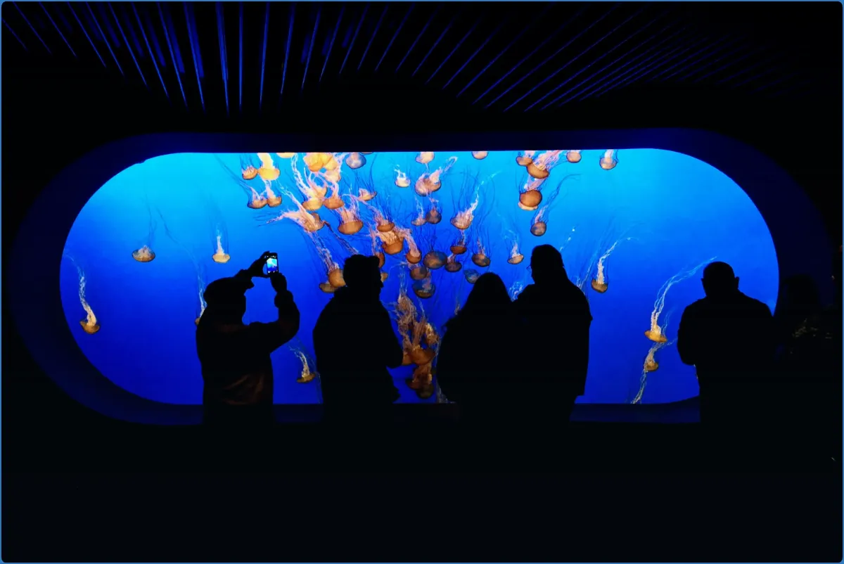 Achill Experience, Aquarium & Visitor Centre