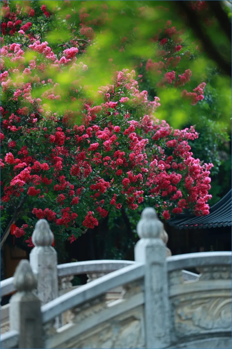 Stone bridge with pink flowers and greenery