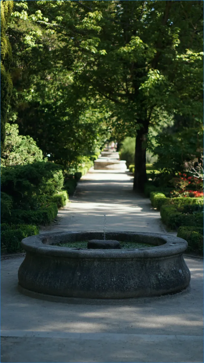Stone fountain in a lush garden path