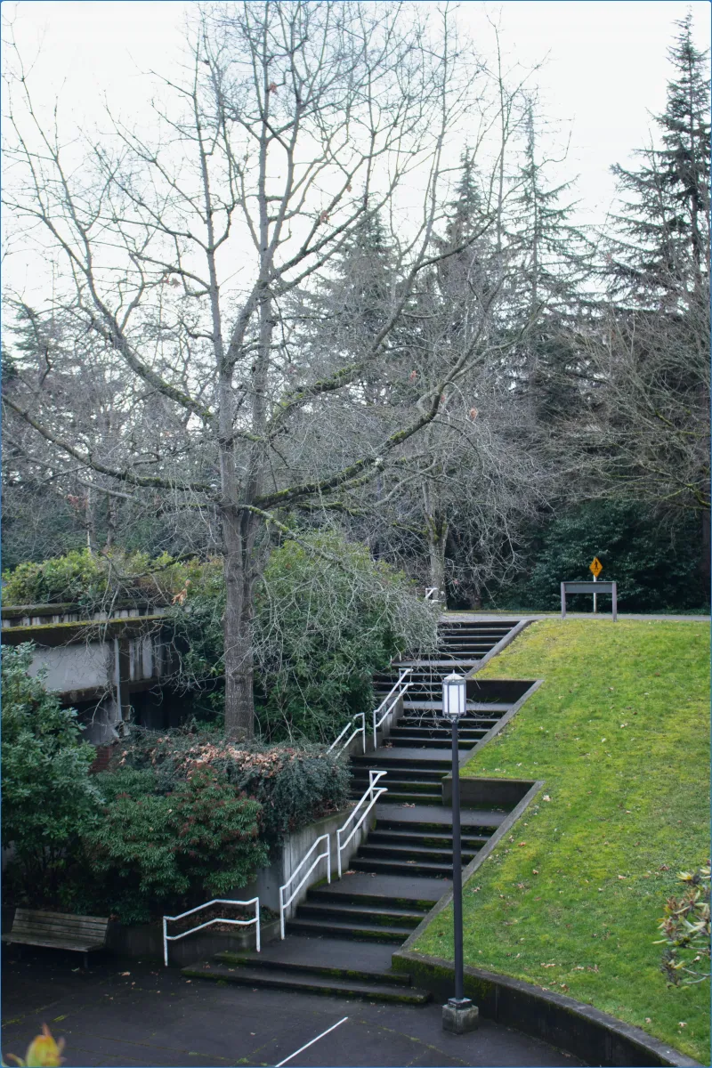 Outdoor stairs with trees and greenery