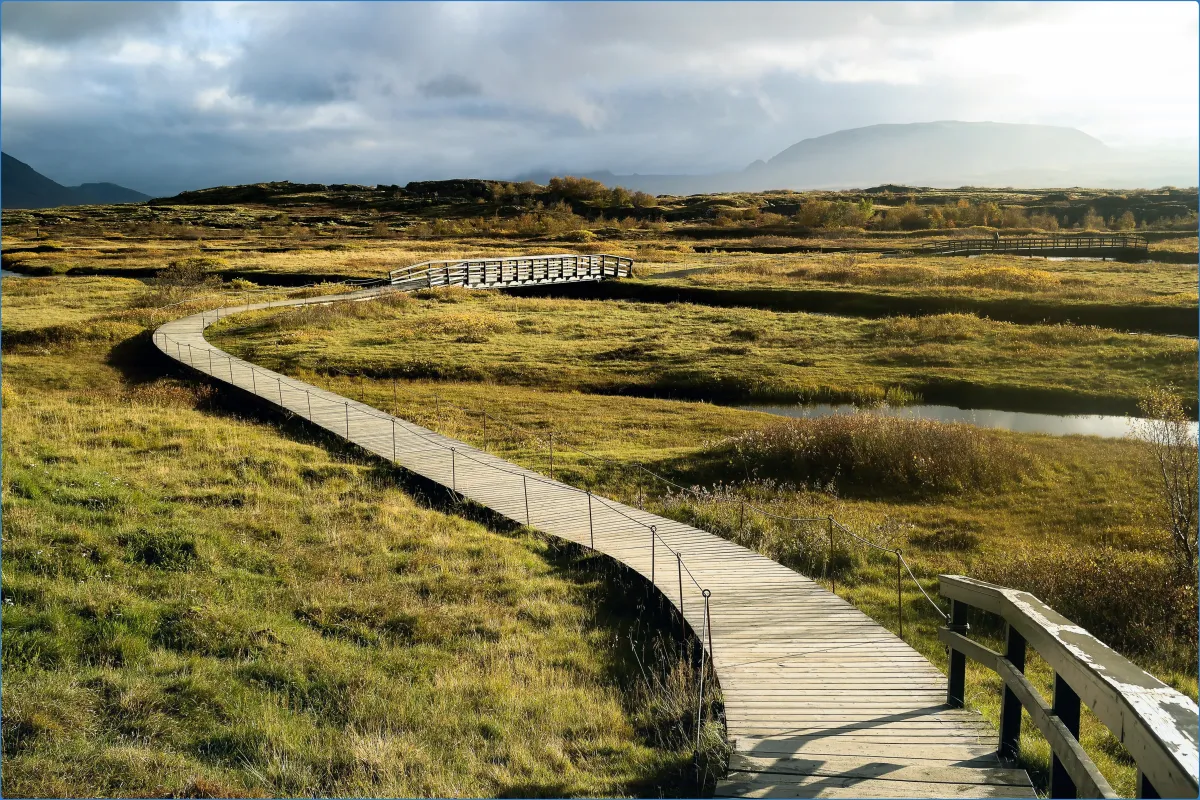 Curved wooden path through grassy landscape