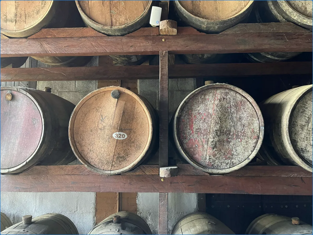 Wooden barrels stacked on shelves