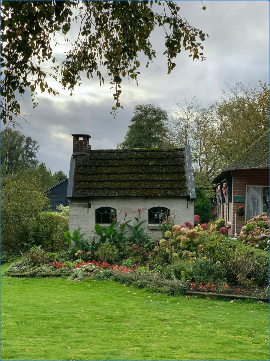Small cottage with a garden