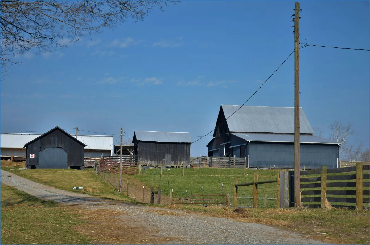 Rural farm with barns and a dirt road