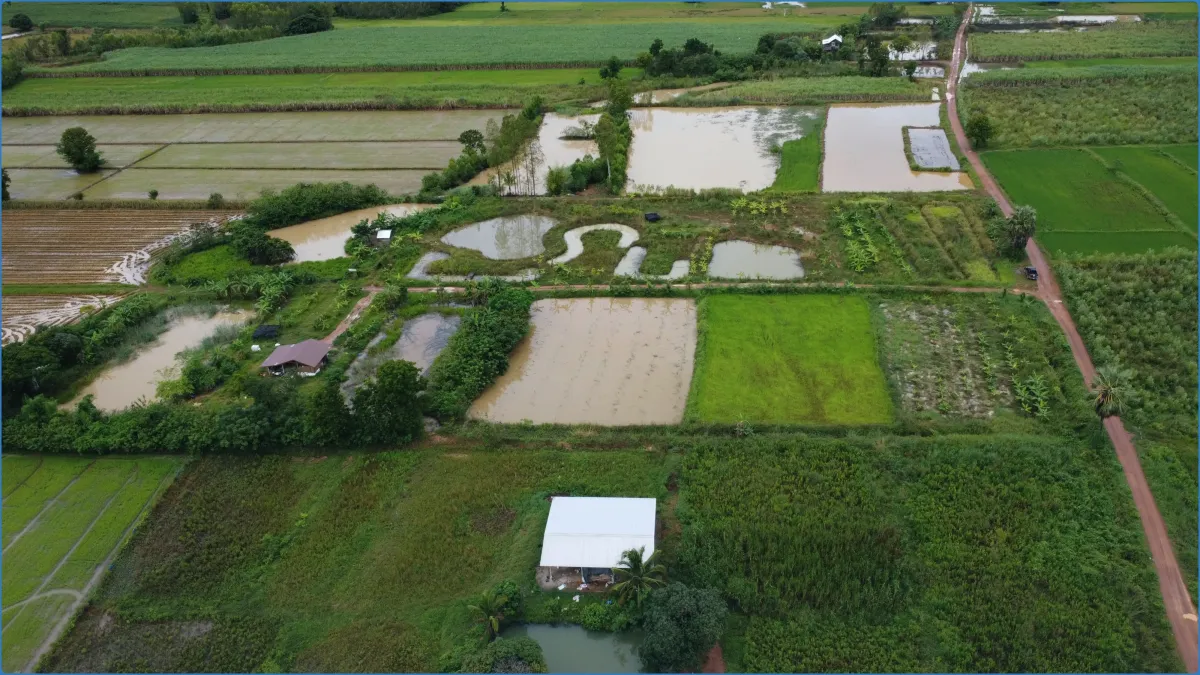 Aerial view of farmland with ponds and fields.