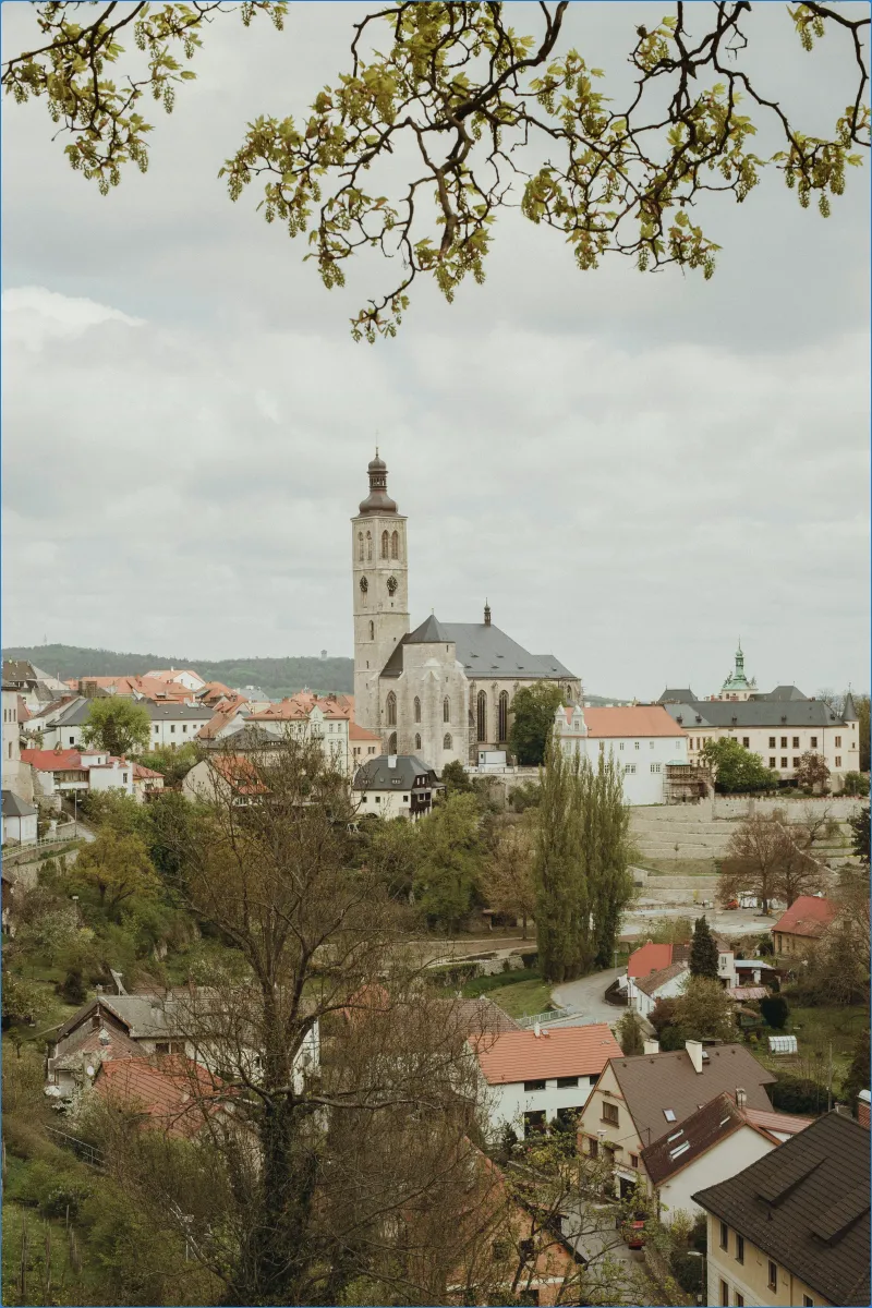 Scenic view of a historic town with a church tower.