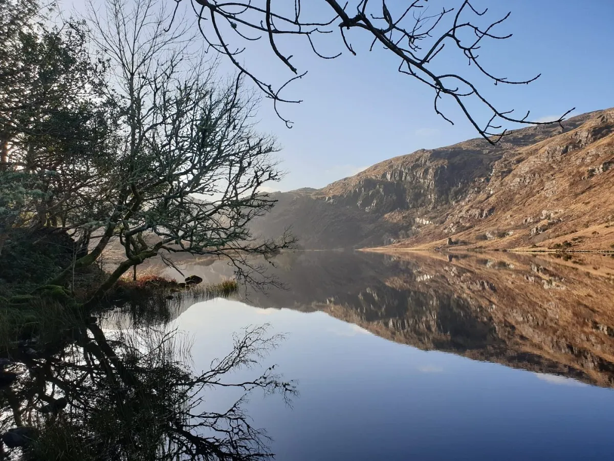 Lake with tree reflections and mountains