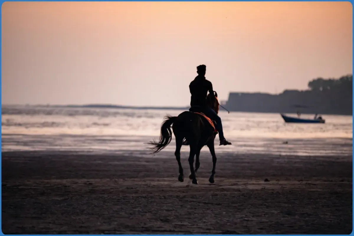 Silhouette of a person riding a horse on the beach at sunset.