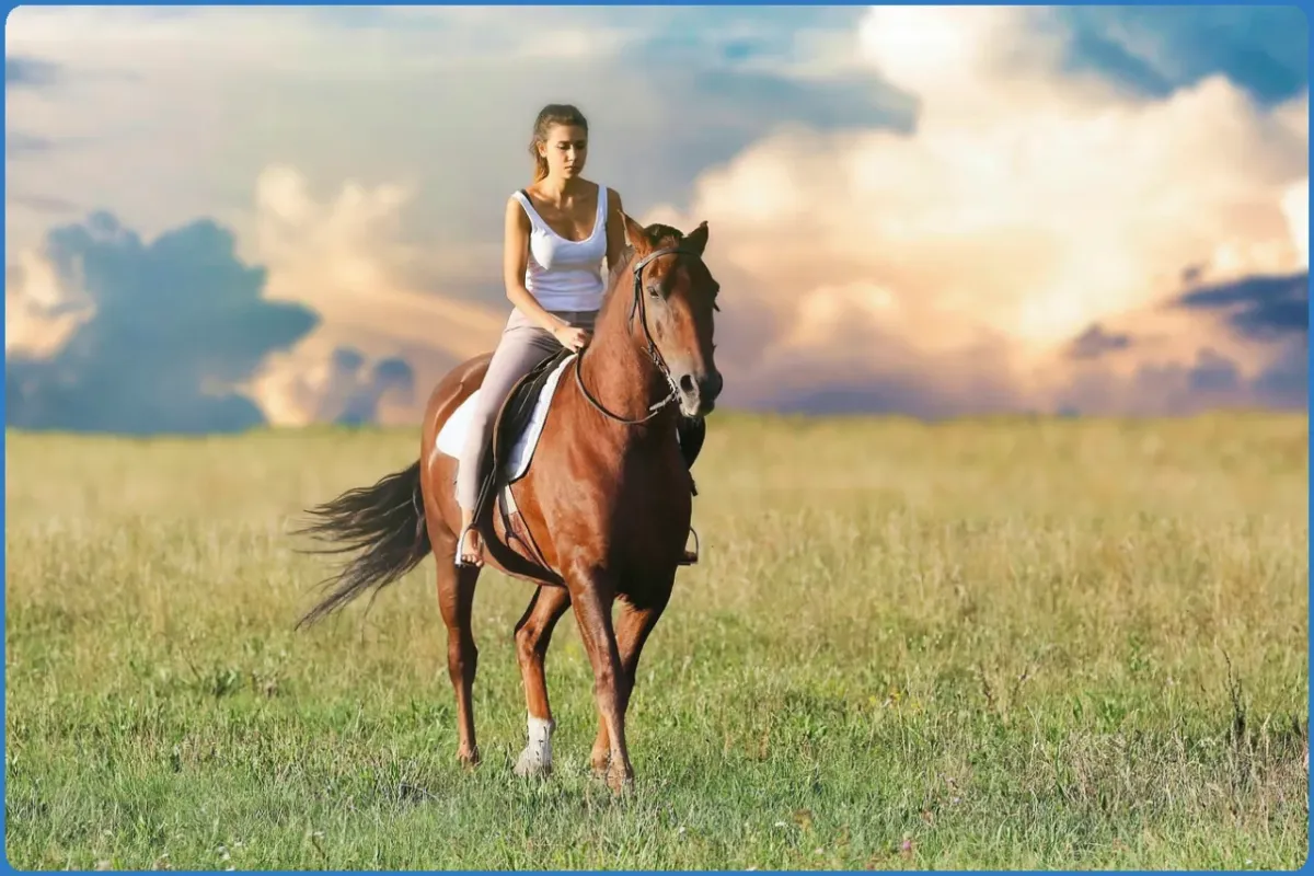 Person riding a horse in a grassy field.
