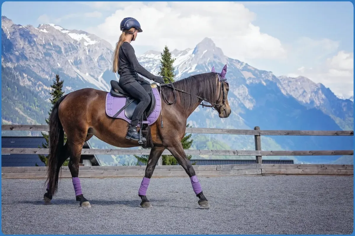Person riding a horse with mountains in the background