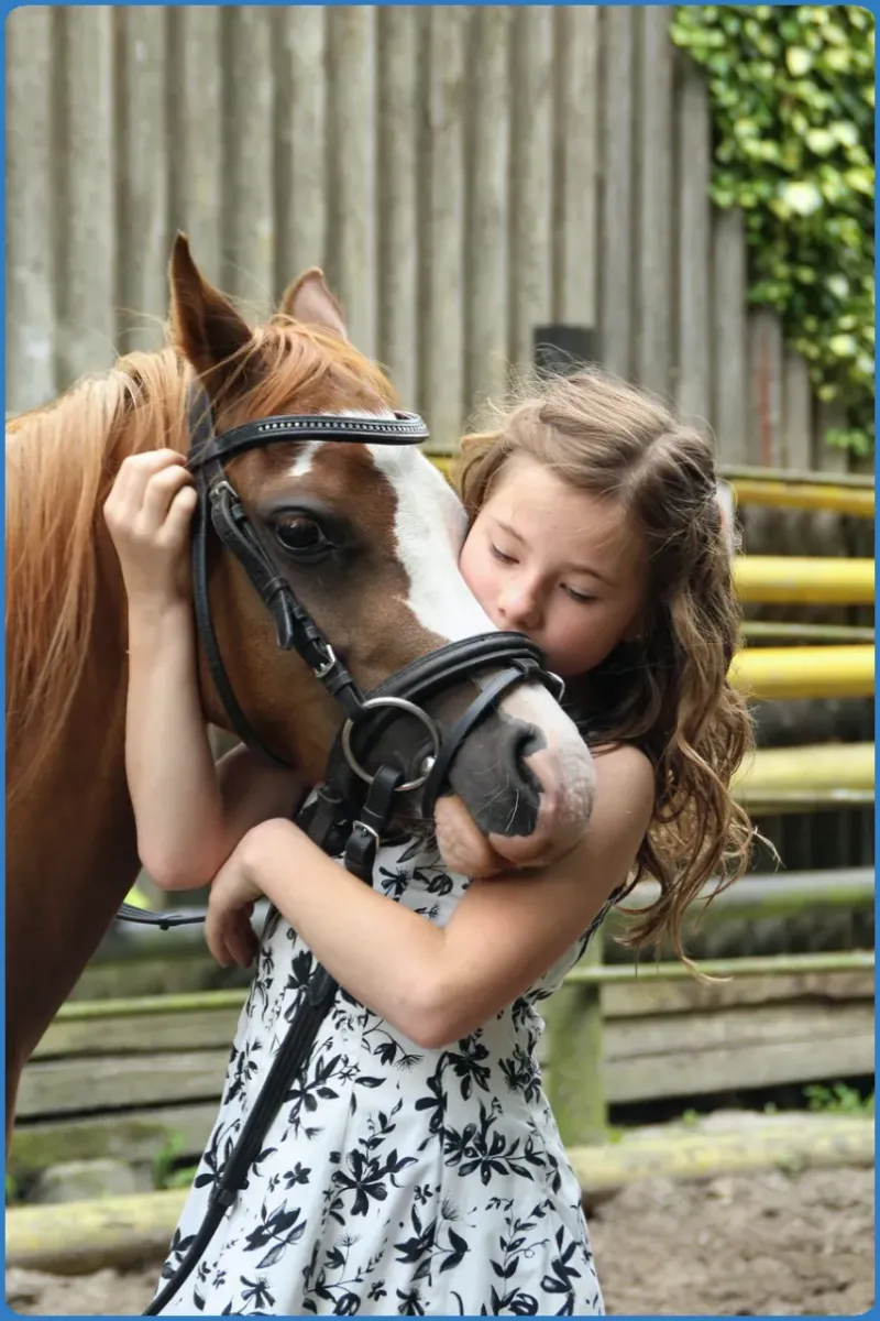 Girl hugging a horse outdoors.